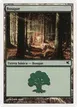 Forest #J44
