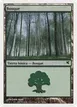 Forest #J56