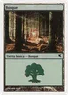 Forest #J57