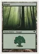 Forest #J58