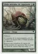 Thallid Shell-Dweller #J6