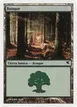 Forest #J8