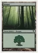 Forest #J9