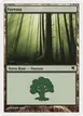 Forest #K21