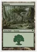 Forest #K32