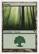 Forest #K33