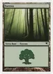 Forest #K47