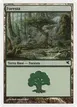 Forest #K58