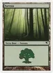 Forest #K8