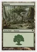 Forest #L48