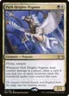 Park Heights Pegasus #211