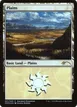 Plains #1