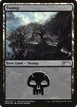 Swamp #3