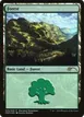 Forest #5