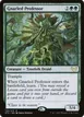 Gnarled Professor #133