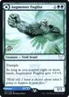 Augmenter Pugilist // Echoing Equation #147