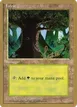 Forest #bl377