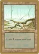 Swamp #gb372