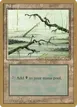 Swamp #ll371