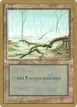 Swamp #ll372