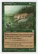 Slashing Tiger #145