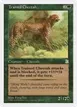 Trained Cheetah #154