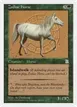 Zodiac Horse #159