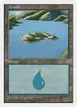 Island #171