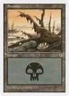 Swamp #172