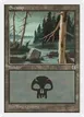 Swamp #173