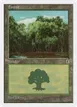 Forest #178