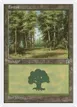 Forest #179