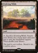 Evolving Wilds #248