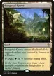 Sunpetal Grove #257