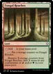 Fungal Reaches #140