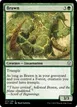 Brawn #72
