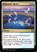 Migratory Route #40