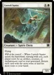 Custodi Squire #65781