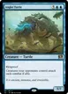 Angler Turtle #70769