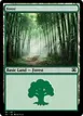 Forest #70807
