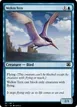 Welkin Tern #70815