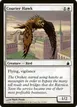 Courier Hawk #12