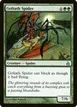 Goliath Spider #168