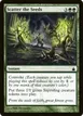 Scatter the Seeds #181