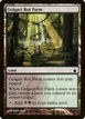 Golgari Rot Farm #278