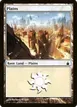 Plains #290