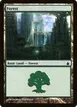 Forest #303