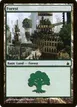 Forest #304
