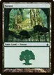 Forest #305