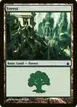 Forest #306